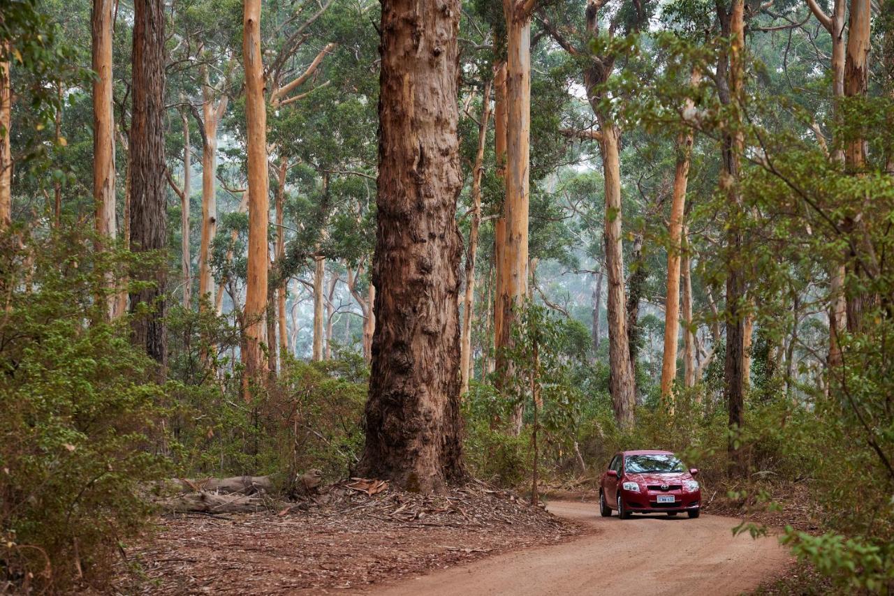 Rac Margaret River Nature Park المظهر الخارجي الصورة