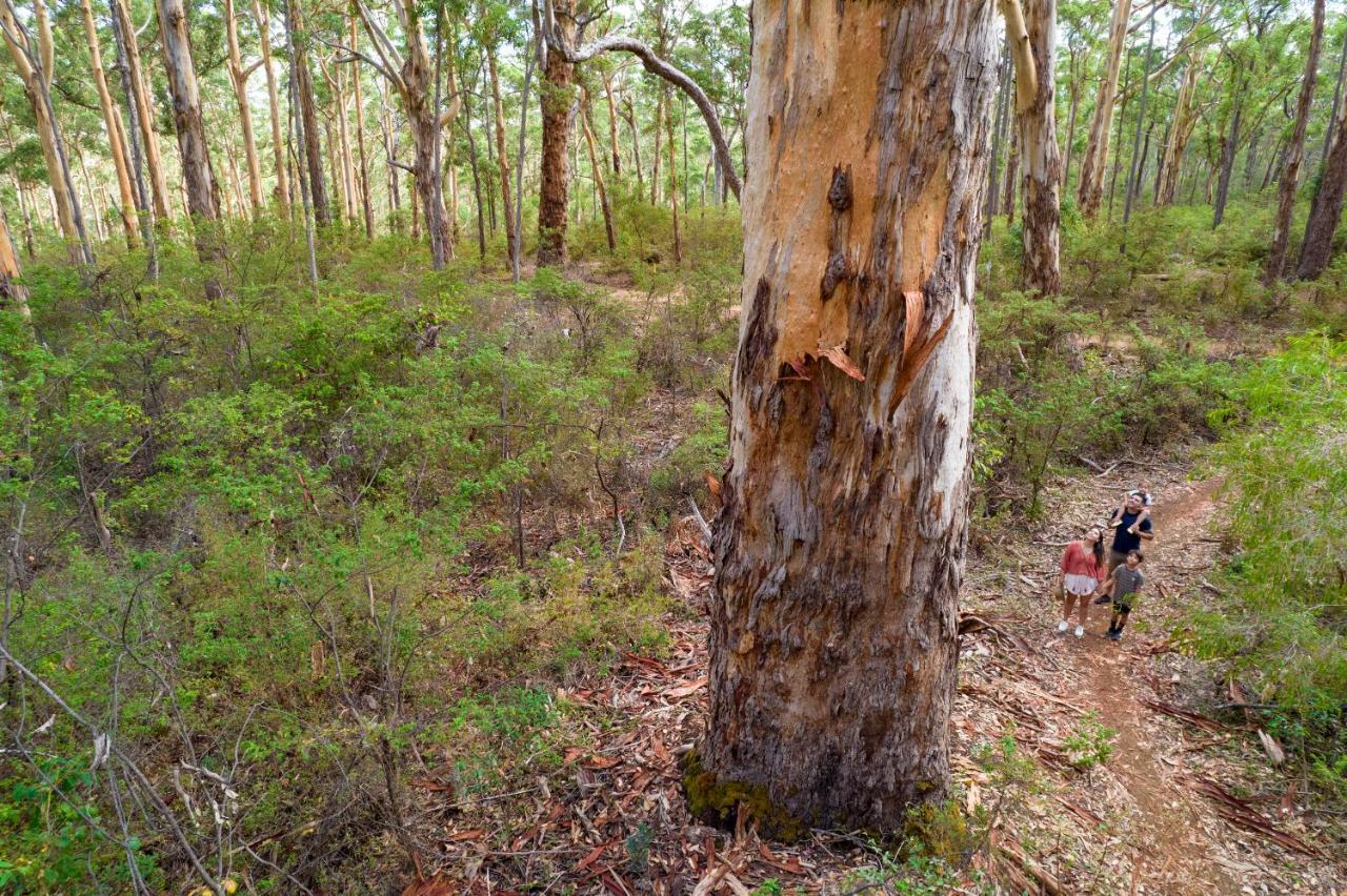 Rac Margaret River Nature Park المظهر الخارجي الصورة